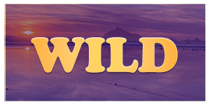 WILD logo with sunset sky beach.